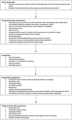 Enhancing Safety in Epilepsy Surgery (EASINESS): Study Protocol for a Retrospective, Multicenter, Open Registry